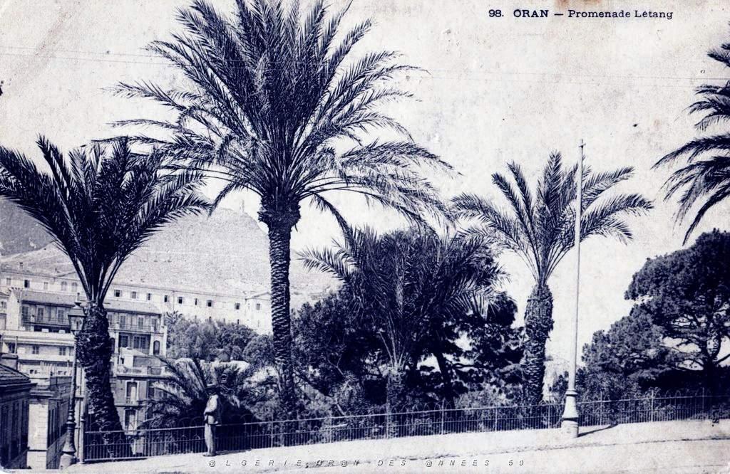 PL a- 020- Promenade de Letang A.JPG